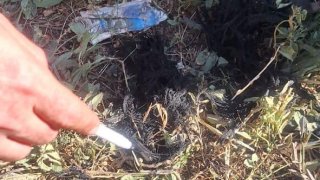 Задержано одно лицо по факту убийства в Мердзаване